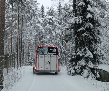 Metsäpeura muuttaa ulkomaille – Laku-peuran 7 kohdan muistilista matkalle