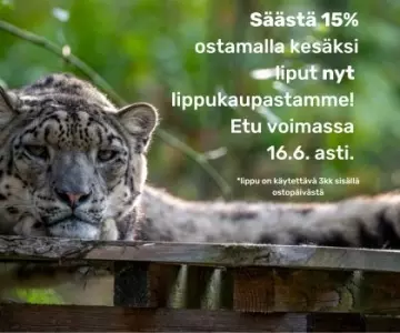 Suunnittele kesä ajoissa ja säästä